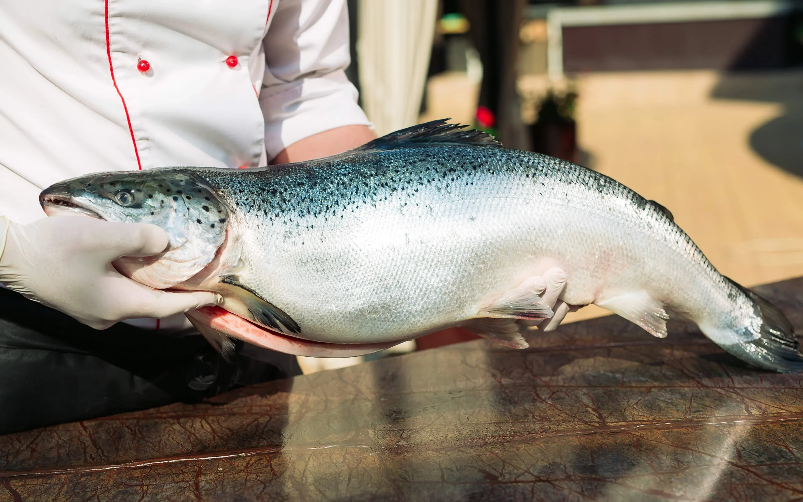 A chef proudly holding a fresh King Salmon