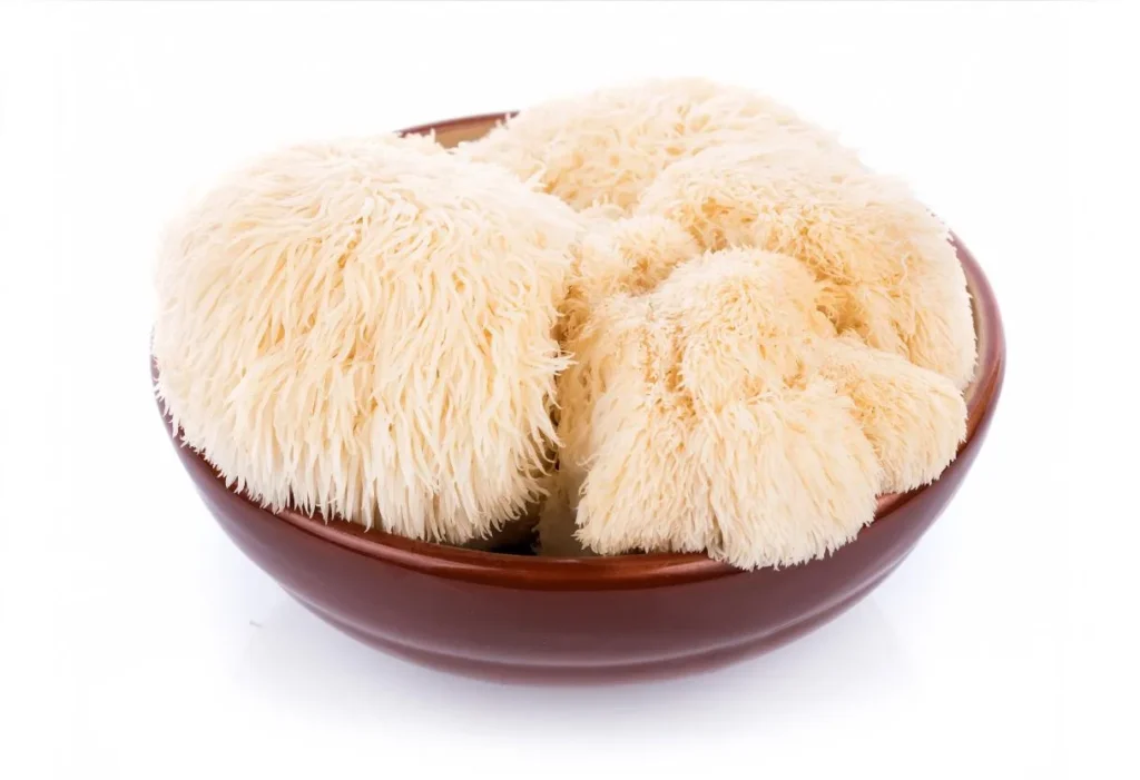 Lion's Mane Recipes - Fresh Lion's Mane Mushroom